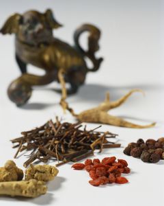 Treating Gu Syndrome with Chinese Herbs