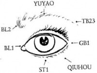 Acupressure points for better vision