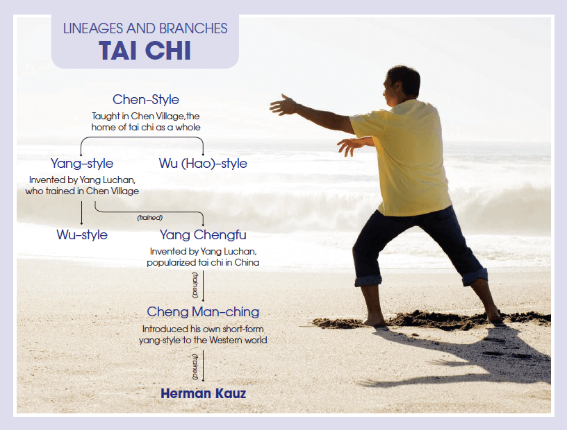 Tai Chi Branches