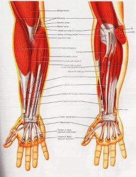 is tendonitis curable