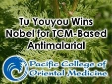 Tu Youyou Wins Nobel Prize in Medicine for TCM-Based Malaria Treatment
