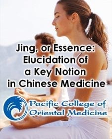 Jing, or Essence: A Brief Attempt at Elucidation of a Key Notion in Chinese Medicine