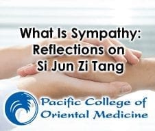 WHAT IS SYMPATHY: Reflections on Si Jun Zi Tang