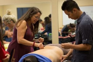 student career in acupuncture