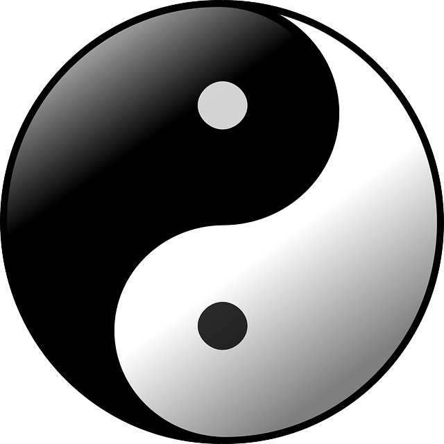 A Yin-Yang Symbol.