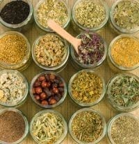 Herbs Come in Many Forms…But Which One is Best?