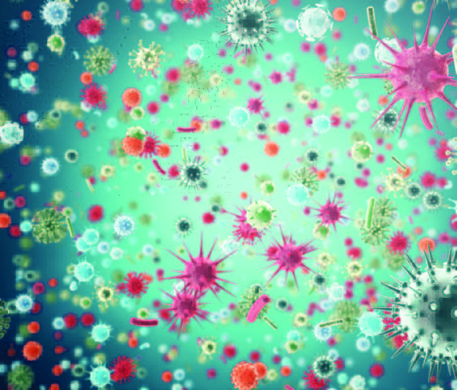 When The Root Is Sound, The Branch Will Prosper: Balance Your Microbiome for a Sound Root