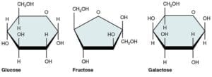 Fructose, Glucose, Galactose Molecules