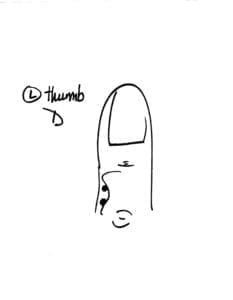 LINE DRAWING: This two-point unit is located on the dorsal surface of the thumb, on the ulnar line of the proximal phalange, 0.3 cun lateral to the midline and halfway between the dorsal midline and the junction of red and white skin.