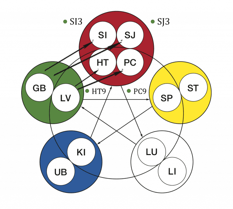 Classical FiveElement Acupuncture Treatment Strategies Pacific College