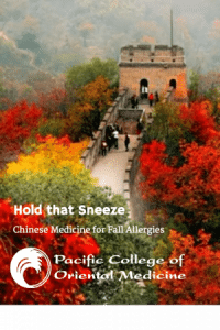 Hold that Sneeze: Chinese Medicine for Fall Allergies