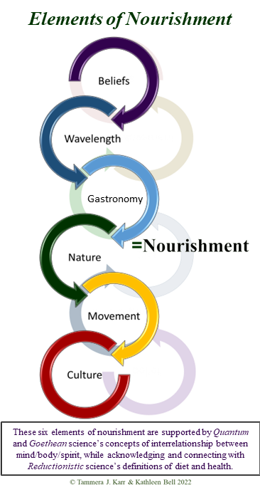 The Elements of Nourishment and how they are connected: Belief>Wavelength>Gastronomy>Nature>Movement>Culture