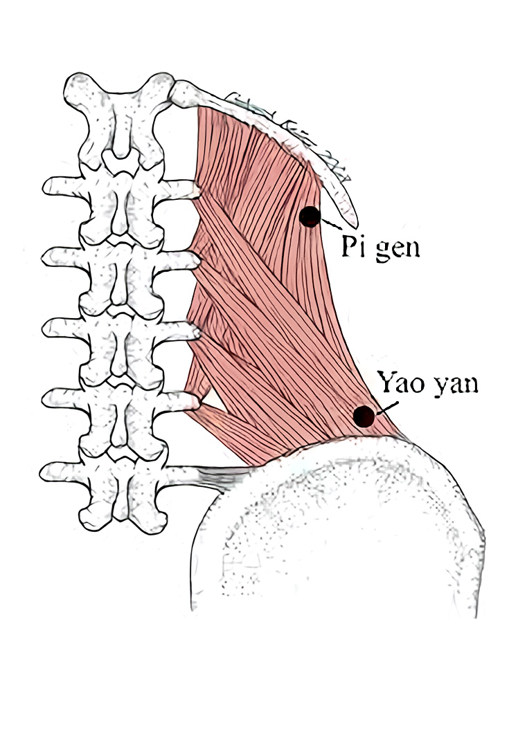 Sciatica Pain  Pacific Sports & Spine