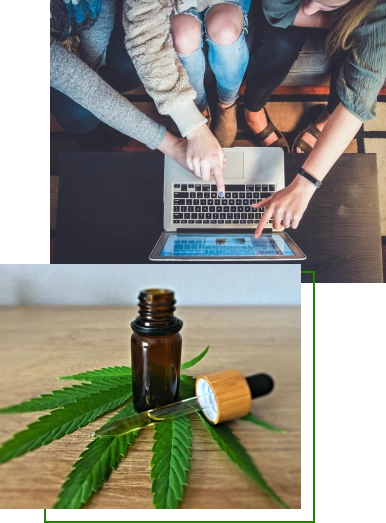Medical cannabis program online